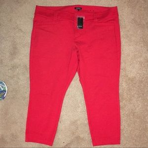 Torrid Ankle Pant-Just what your wardrobe wants!